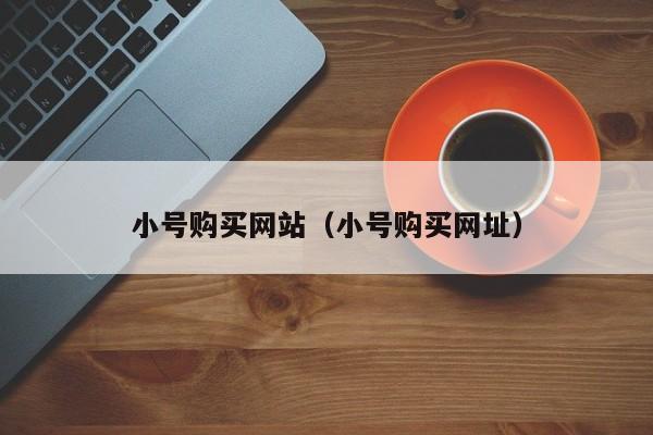 小号购买网站（小号购买网址）