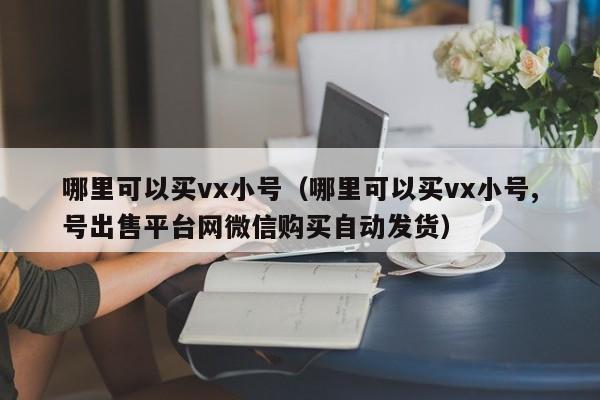 哪里可以买vx小号（哪里可以买vx小号,号出售平台网微信购买自动发货）