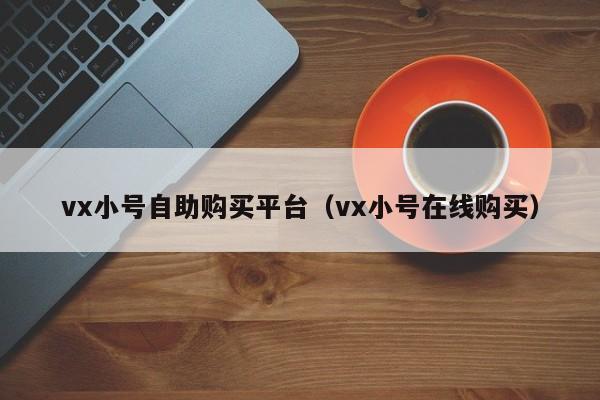 vx小号自助购买平台（vx小号在线购买）