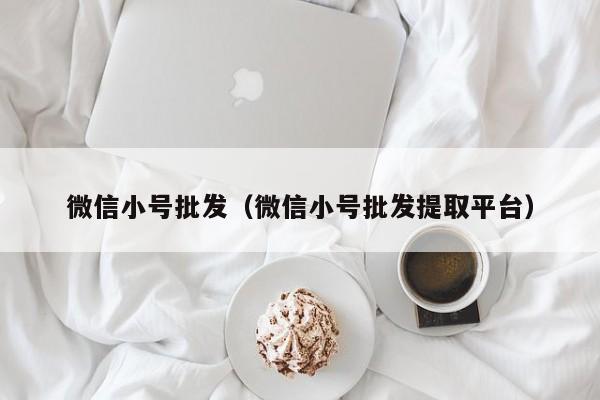 微信小号批发（微信小号批发提取平台）