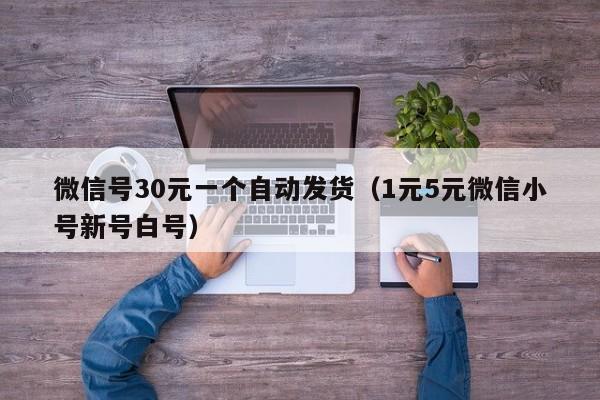 微信号30元一个自动发货（1元5元微信小号新号白号）