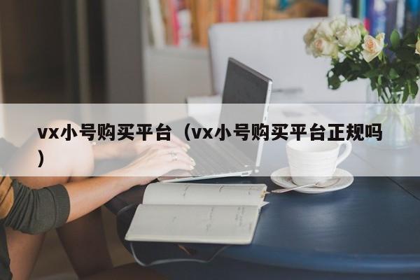 vx小号购买平台（vx小号购买平台正规吗）