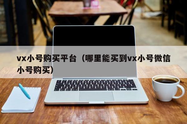 vx小号购买平台（哪里能买到vx小号微信小号购买）