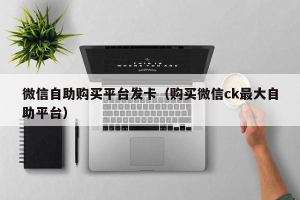 微信自助购买平台发卡（购买微信ck最大自助平台）