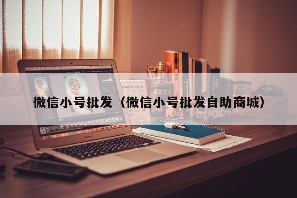 微信小号批发（微信小号批发自助商城）