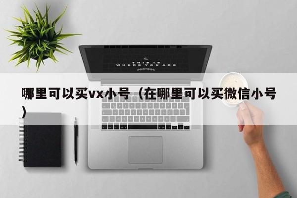 哪里可以买vx小号（在哪里可以买微信小号）