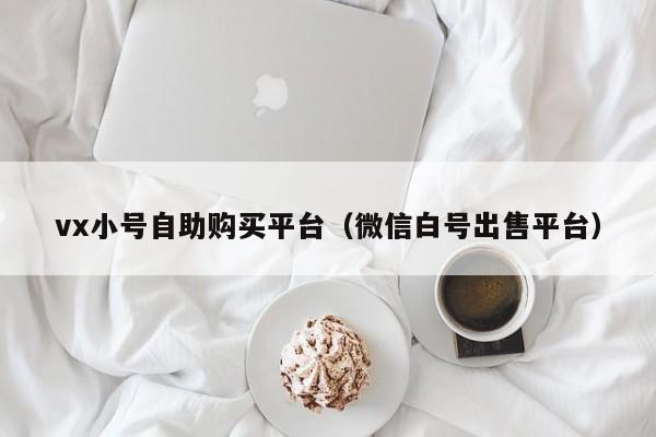 vx小号自助购买平台（微信白号出售平台）