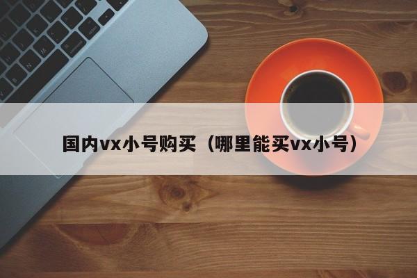 国内vx小号购买（哪里能买vx小号）